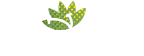 Brookedge Nursery-