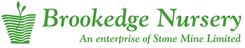 Brookedge Nursery-